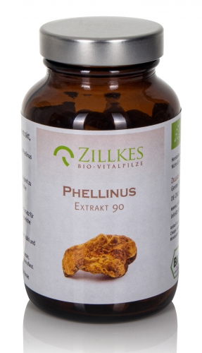 Phellinus-Extrakt aus Bio-Anbau, 90 Kapseln, Zillkes Pilze